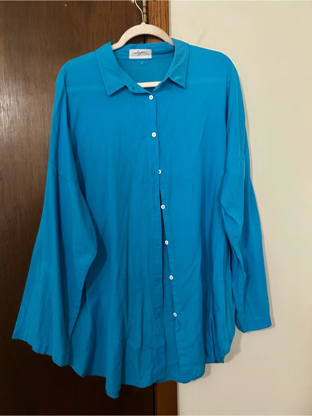 Carly Jean of Los Angeles Teal Button-Up Shirt - Relaxed Women's Top